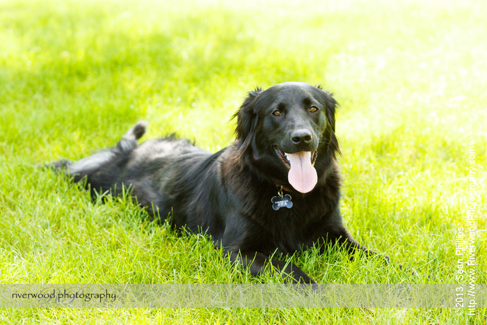 Pepper at Edworthy Park