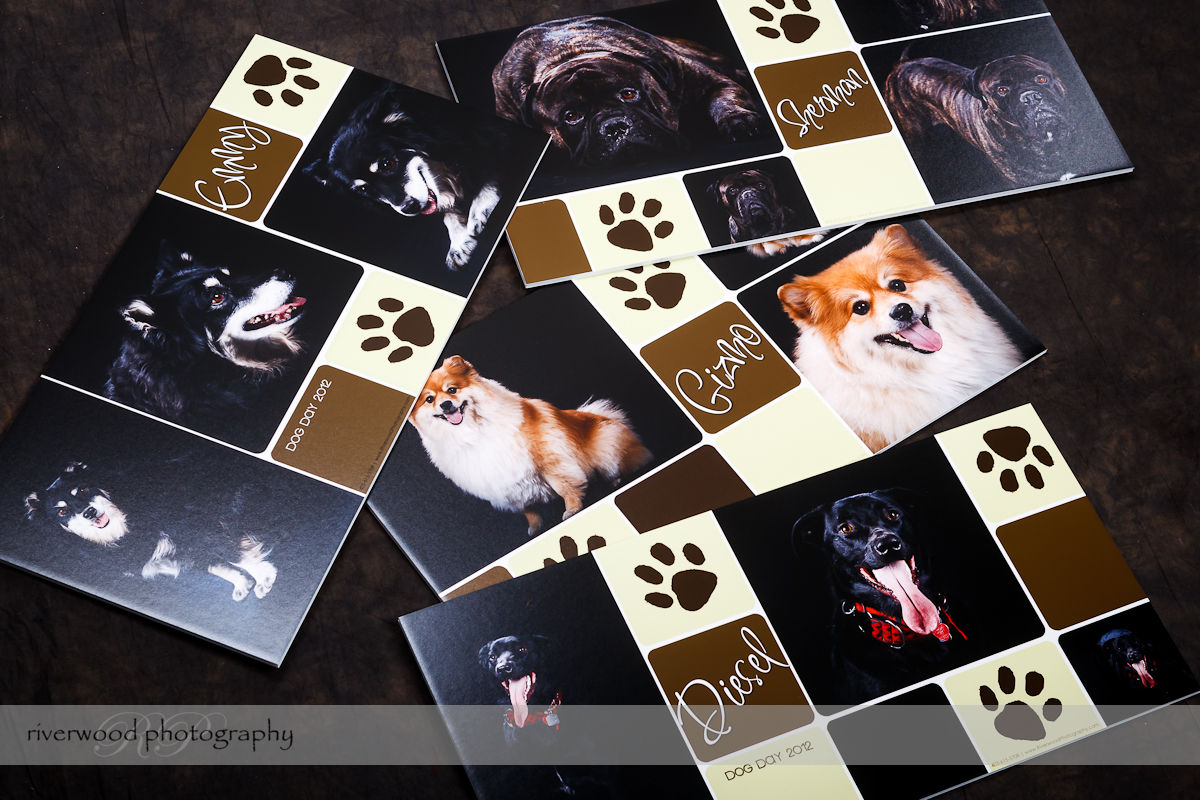 Wall Panels for Clients from Dog Day 2012